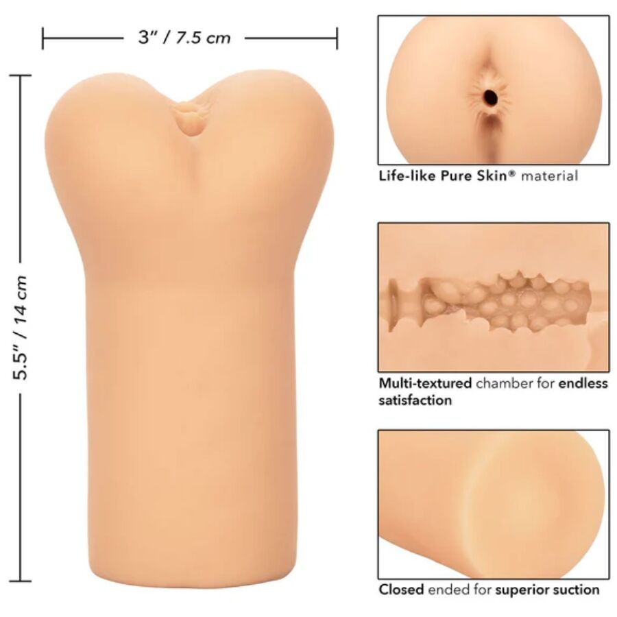 CALEXOTICS - BOUNDLESS NUS BROWM